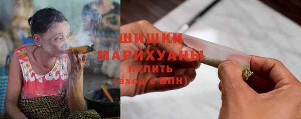 сатива Кукмор