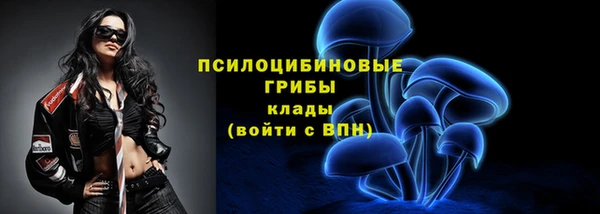бошки Ладушкин
