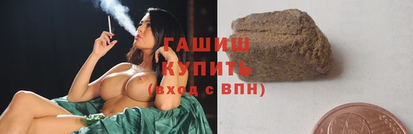 сатива Лабытнанги