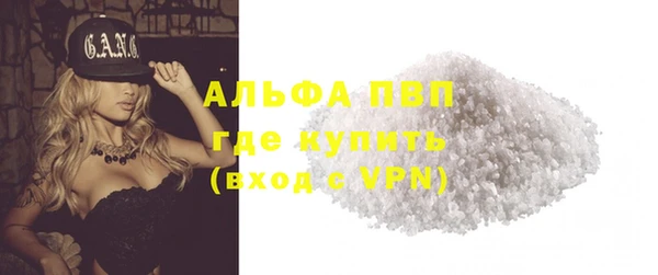 сатива Кукмор