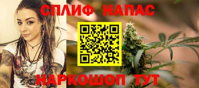гашик Туймазы