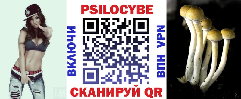 Псилоцибиновые грибы Cubensis  Лиски 