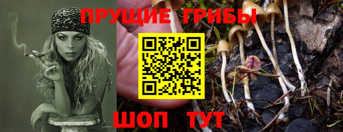 Лиски  Галлюциногенные грибы прущие грибы  Вход с VPN 