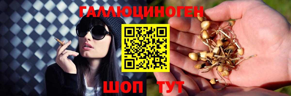 Псилоцибиновые грибы Magic Shrooms Лиски